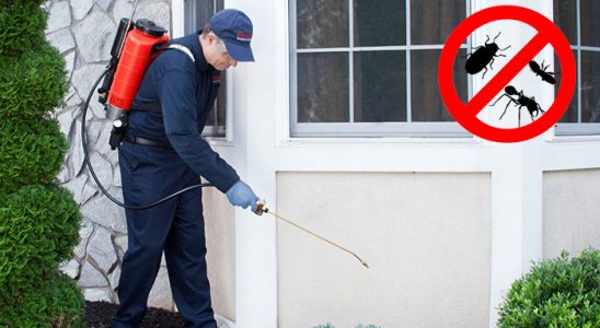 Zile Hamam Böceği İlaçlama böcek ilaçlama ve haşere kontrolü — ilaclama-tr.com